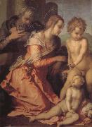 Andrea del Sarto, Holy family